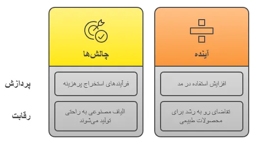 چالش ها